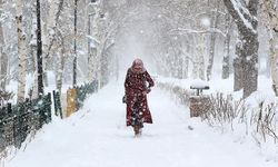 Meteoroloji’den Bitlis'e Kar Yağış Uyarısı!