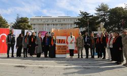 Van’da 25 Kasım farkındalık etkinliği