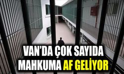 Van’da çok sayıda mahkûma af geliyor
