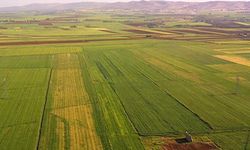 Van’da hazine malları satışa çıkarıldı