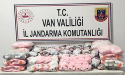 Van’da kaçakçılık operasyonu! 244 parça gümrüksüz eşya ele geçirildi