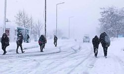 Van’da kar alarmı! Meteoroloji 13 ili uyardı