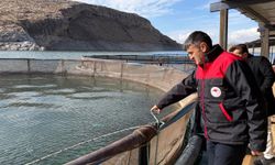 Van’da kırsal desteklerle alabalık üretimi güçleniyor