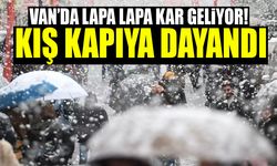 Van’da lapa lapa kar geliyor! Kış kapıya dayandı
