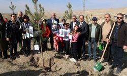 Van’da öğrenci ve öğretmenler fidan dikti