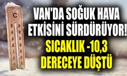 Van'da soğuk hava etkisini sürdürüyor! Sıcaklık -10,3 dereceye düştü