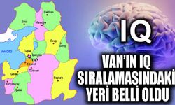 Van’ın IQ sıralamasındaki yeri belli oldu