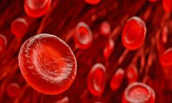 Yeni bir kan grubu bulundu