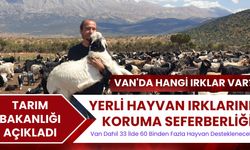 Yerli Irklar İçin Seferberlik: Van'da Destek Başlıyor