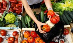 Van Hal Fiyatları belli oldu!