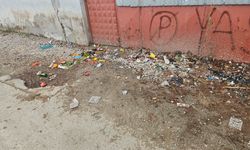 Van'da Tuşba sokaklarını çöp götürüyor