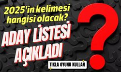 2025'in kelimesi hangisi olacak? TDK aday listesini açıkladı