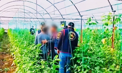 7 yıllık firari serada  yakalandı!