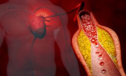 Başhekim Sarıkaya: Göbek ve insülin direnci, kardiyometabolik riskin sessiz ortakları