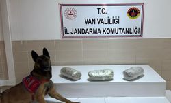 Gevaş’ta operasyon: 3 kilo esrar ele geçirildi