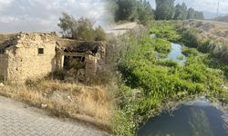 Güngör: Betona değil yaşama sahip çıkalım