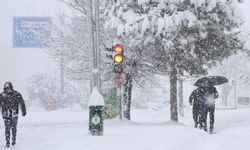 Gürpınar’da kuvvetli kar yağışı uyarısı