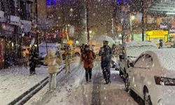 Meteoroloji'den Van için yoğun kar yağışı uyarısı!