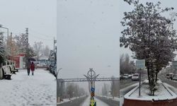 Muradiye’de kar yağışı