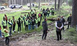 SMM sınavı başvuruları başlıyor: Son tarih 17 Aralık