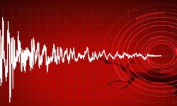Tunceli 4,2’yle sallandı
