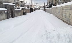 Van belediyeleri sınıfta kaldı