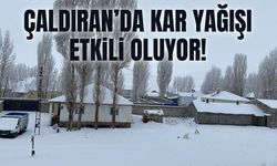 Van Çaldıran’da kar yağışı etkili oluyor!