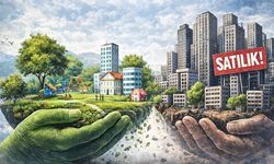 Van Gölü Havzası’nda kamu arazilerinin satışına tepki