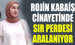 Van Gölü'nde cansız bedeni bulunan Rojin Kabaiş olayında sır perdesi aralanıyor