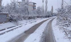 Van güne beyaz örtüyle uyandı!