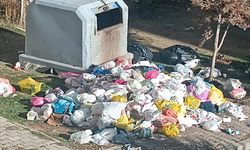 Van Kalecik TOKİ’de çöp sorunu büyüyor