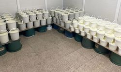 Van’da 1 ton süt ve 239 kova yoğurdu imha edildi