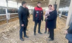 Van’da Düve Üretim Merkezi faaliyete geçti