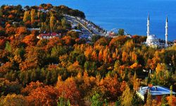 Van’da Edremit bahçeleri için yürüyüş düzenlenecek