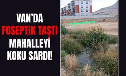 Van’da foseptik taştı, mahalleyi koku sardı!