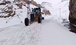 Van’da kapalı yollarda karla mücadele çalışması