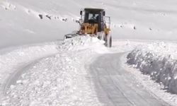 Van'da kapalı yolları açma çalışmaları sürüyor