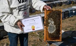 Van’da üretilen bal uluslararası birincilik ödülü aldı!