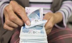 Vanlılar dikkat! Vatandaşlık maaşı geliyor