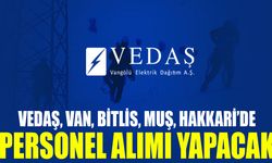 VEDAŞ Van, Bitlis, Muş ve Hakkari’de personel alımı yapacak