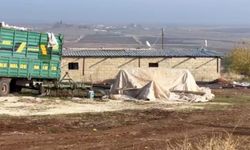 Yapay zekâ ile bulundu: Ahır görünümlü kripto tesisi