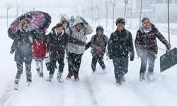 6 Ocak'ta okullara kar engeli: Üç ilçede eğitime ara verildi!