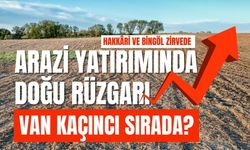Arazi yatırımında Hakkâri %85 artışla Türkiye ikincisi oldu