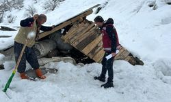 Van’da kar ve çığ sonrası hasar tespit çalışmaları yapıldı
