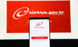 e-Devlet'te planlı kesinti: Bu saatler arasında sisteme giriş yapılamayacak