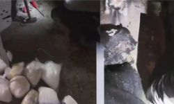 Gevaş'ta uyuşturucu operasyonu: 10 kilogram zehir yakalandı