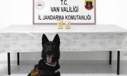Van İl Jandarma Komutanlığı'ndan kaçakçılıkla mücadele! İran uyruklu şahıs yakalandı