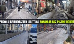 İpekyolu Belediyesi’nin unuttuğu sokaklar buz pistine döndü!