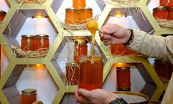 Hakiki karakovan balı nasıl anlaşılır? Van yaylalarından doğal balın şifreleri