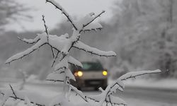 Özalp’ta buzlanma ve don uyarısı